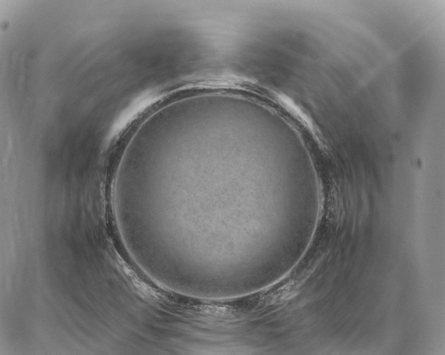 X0000087361456200704201135