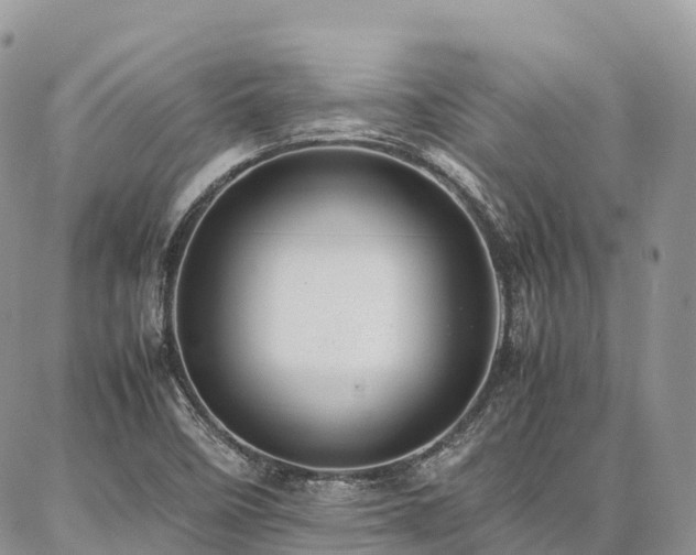 X0000087361458200704201135