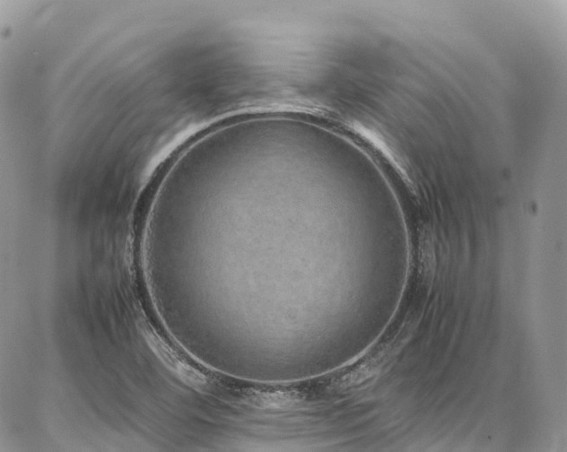 X0000087361460200704201135