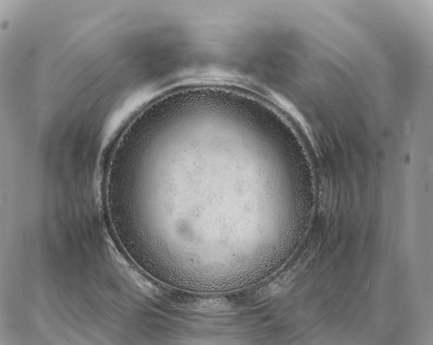 X0000087361464200704201135