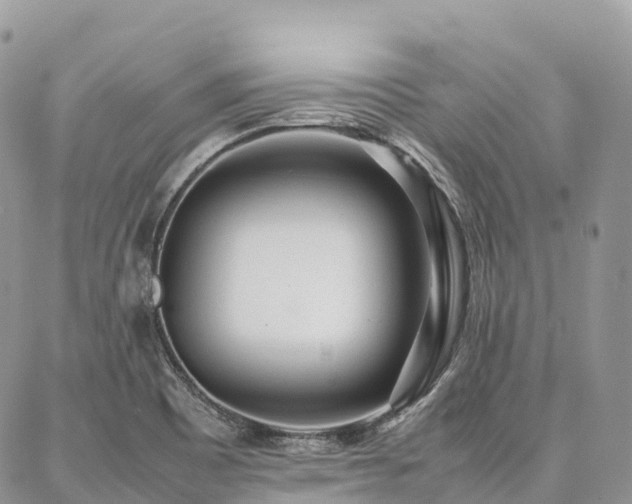 X0000087361465200704201135