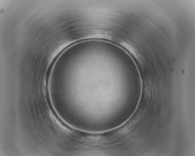 X0000087361468200704201135