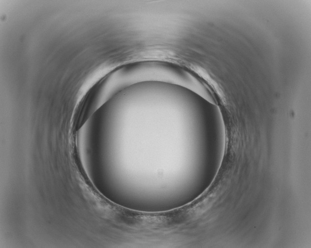X0000087361469200704201135