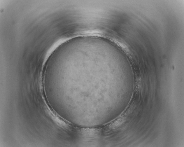 X0000087361470200704201135
