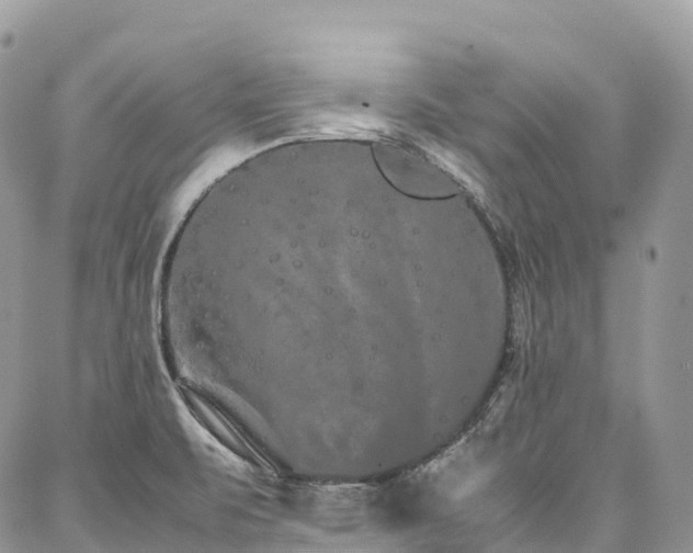 X0000087361471200704201135