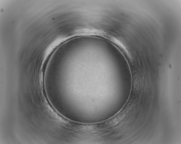 X0000087361472200704201135