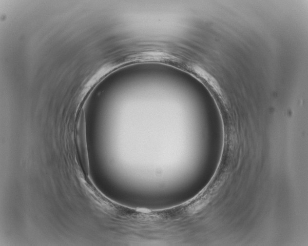 X0000087361473200704201135