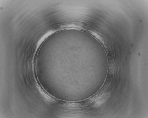 X0000087361474200704201135