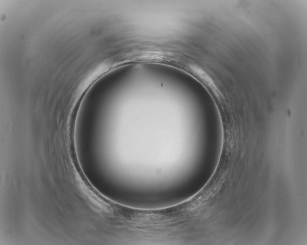 X0000087361475200704201135