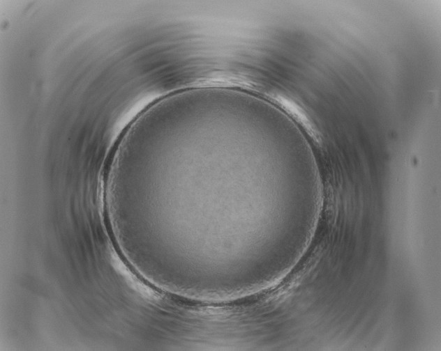 X0000087361476200704201135