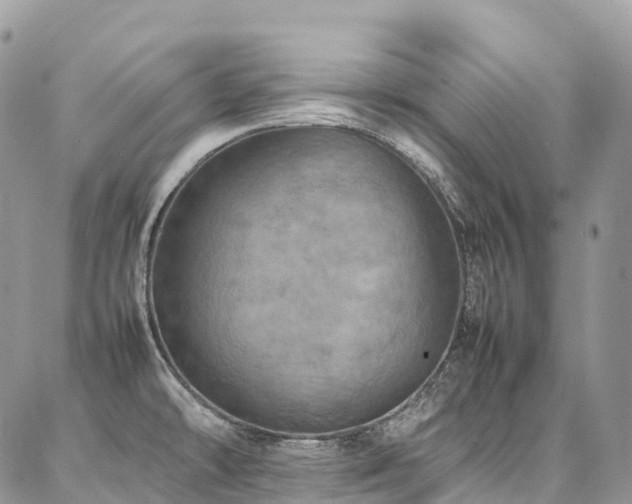 X0000087361478200704201135