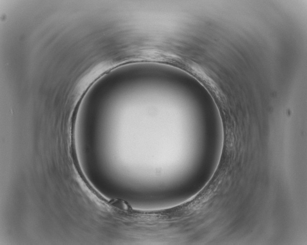 X0000087361479200704201135
