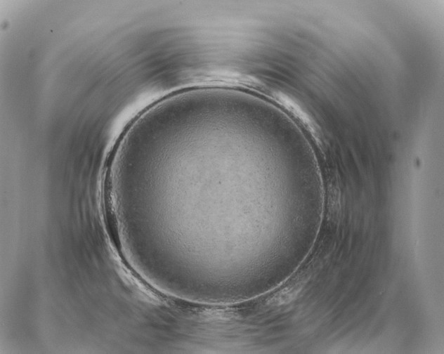 X0000087361480200704201135