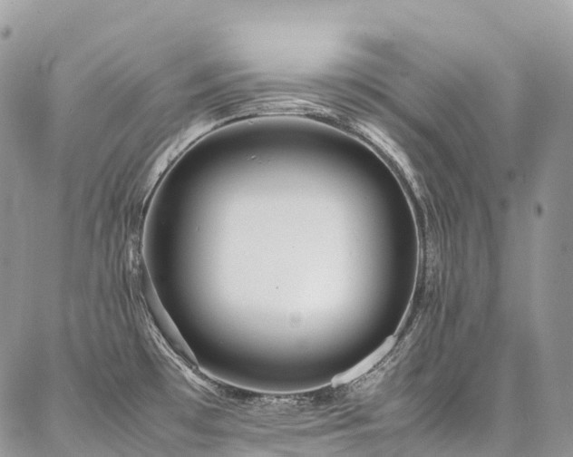 X0000087361481200704201135