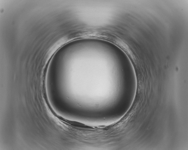 X0000087361483200704201135