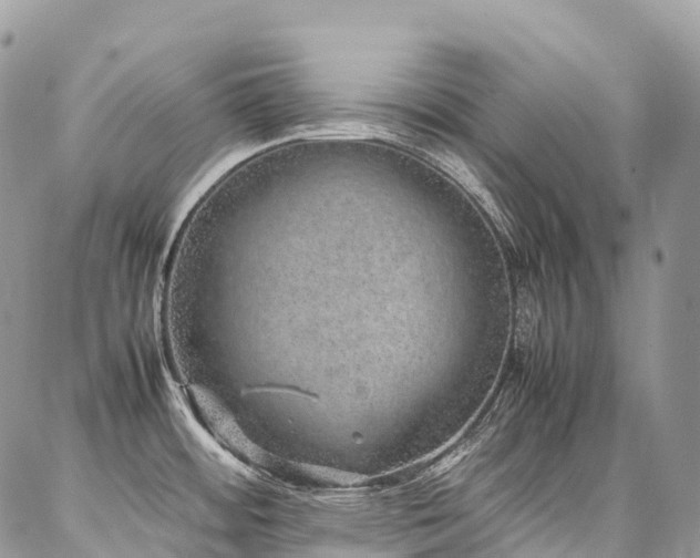 X0000087361484200704201135