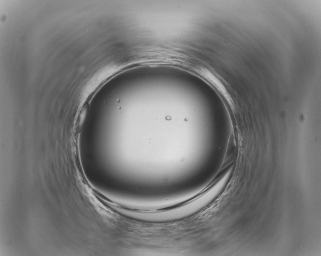 X0000087361485200704201135