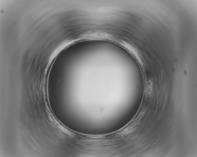 X0000087361486200704201135