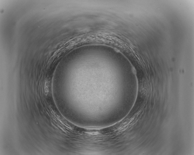 X0000087361490200704201134