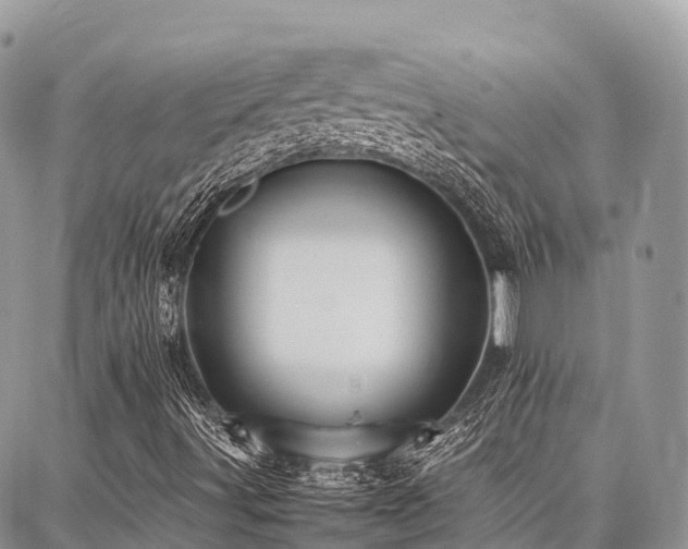 X0000087361491200704201134