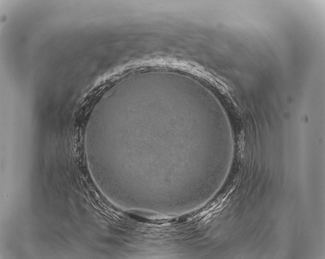 X0000087361494200704201134