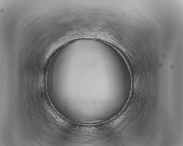 X0000087361498200704201134
