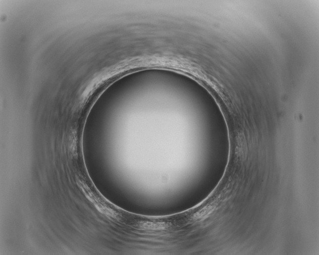 X0000087361499200704201134