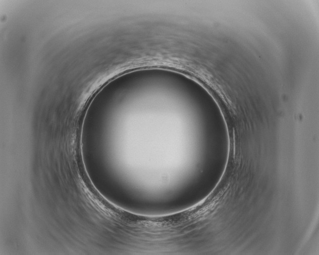 X0000087361500200704201134