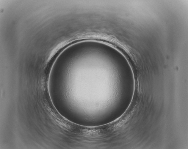 X0000087361501200704201134