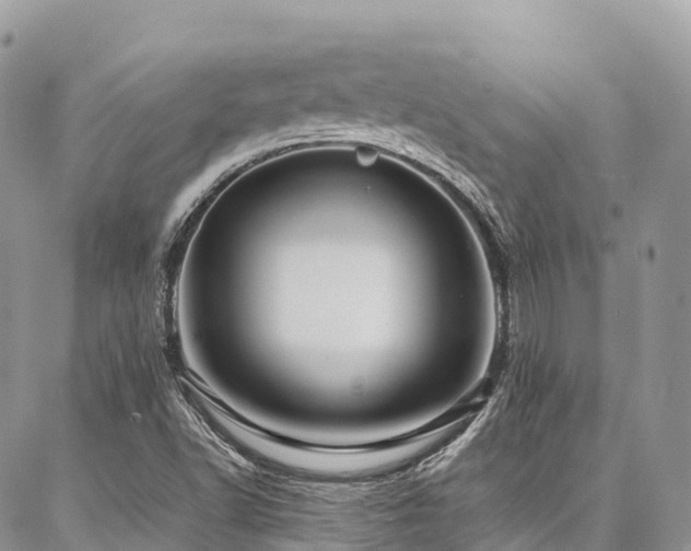 X0000087361502200704201134