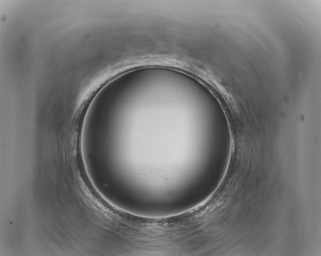 X0000087361504200704201134