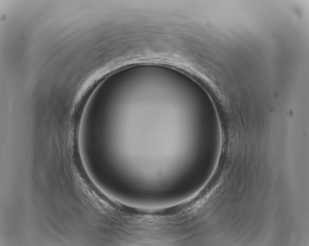 X0000087361506200704201134