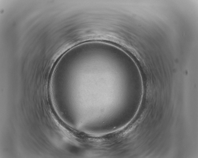 X0000087361513200704201134