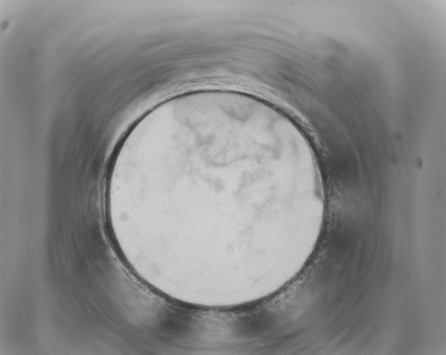 X0000087361514200704201134