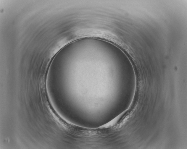 X0000087361521200704201134