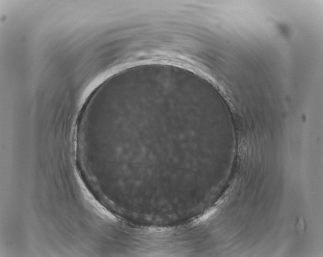 X0000087361522200704201134