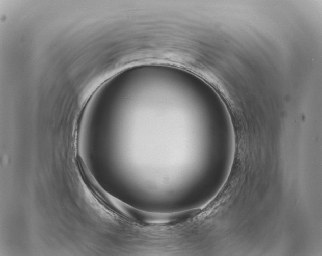 X0000087361524200704201134