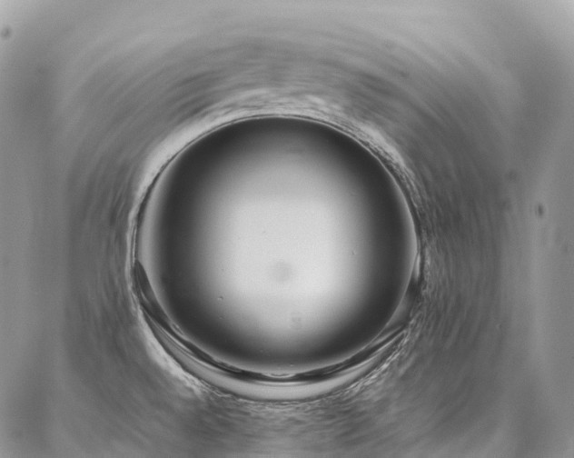X0000087361528200704201134