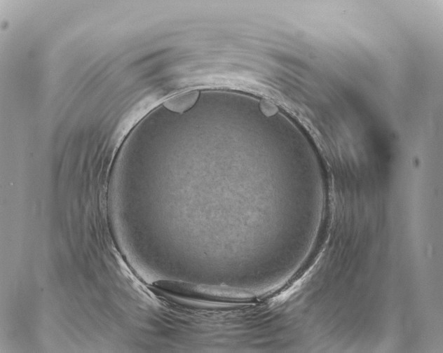 X0000087361529200704201134