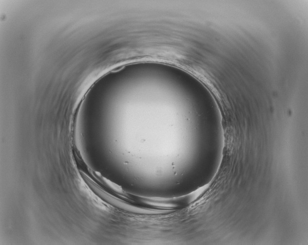 X0000087361532200704201134