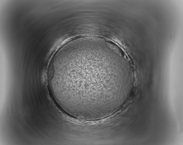 X0000087360002200704271445