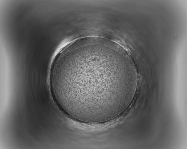 X0000087360006200704271445