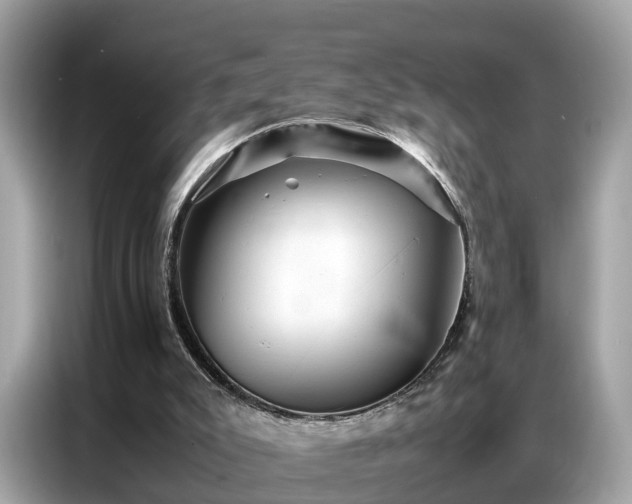 X0000087360007200704271445