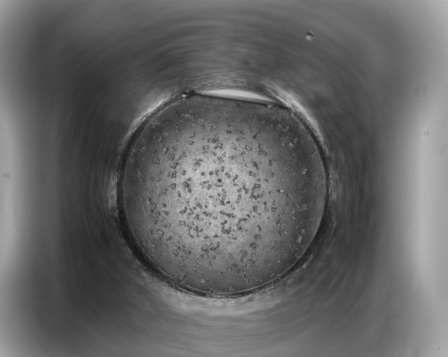X0000087360010200704271445