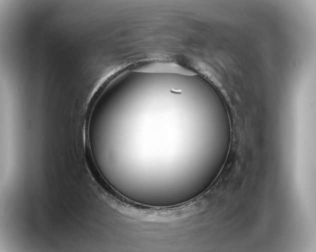 X0000087360011200704271445