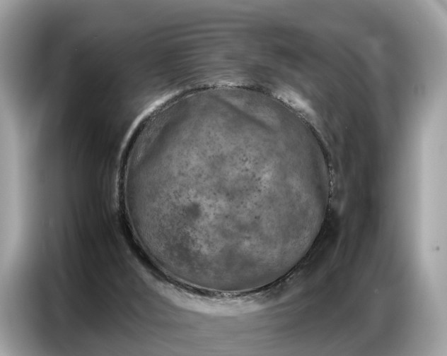 X0000087360012200704271445