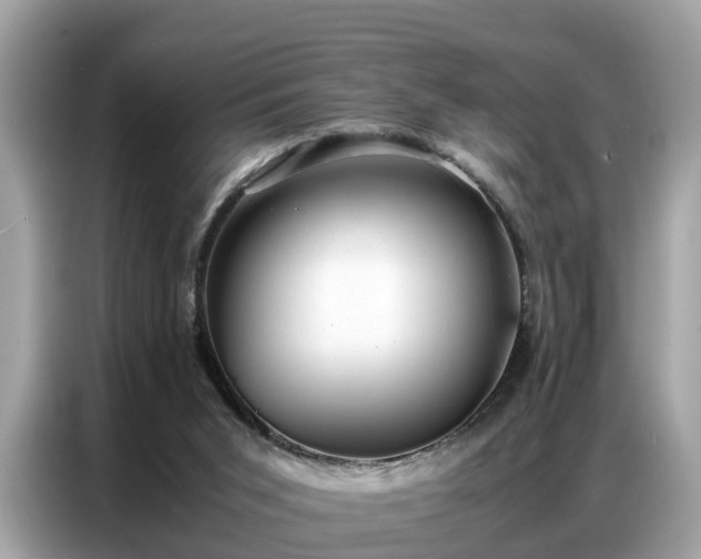 X0000087360015200704271445