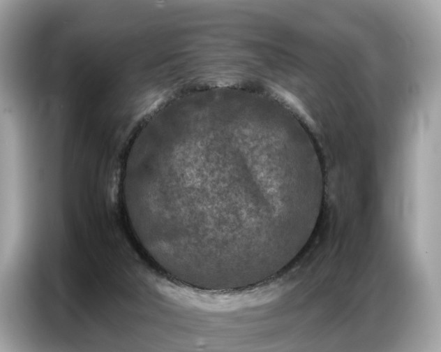 X0000087360018200704271445