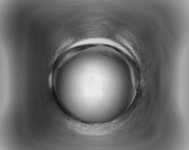 X0000087360019200704271445