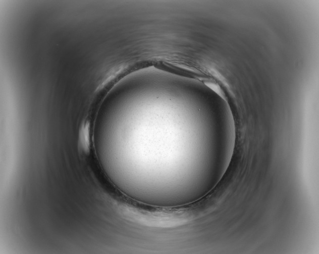 X0000087360020200704271445